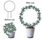 Suporte de Escalada Plant