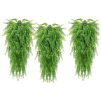 Samambaia Artificial