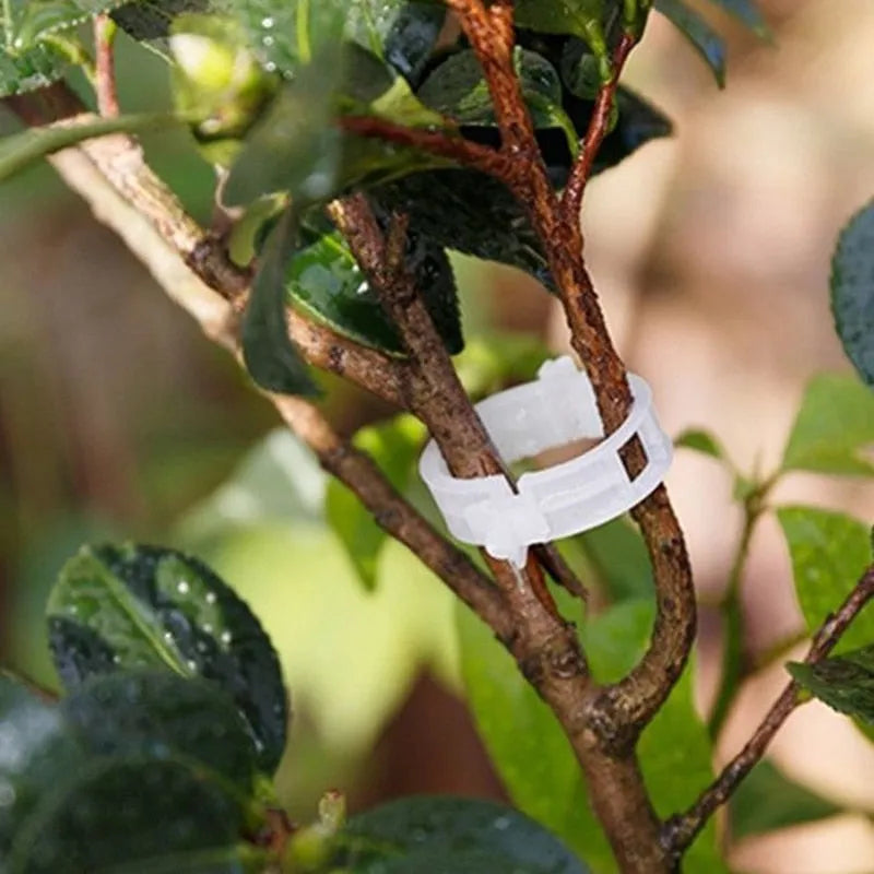 Clips de Suporte de Plástico para Prender Plantas - Crescimento Seguro e Saudável - Decora Byte