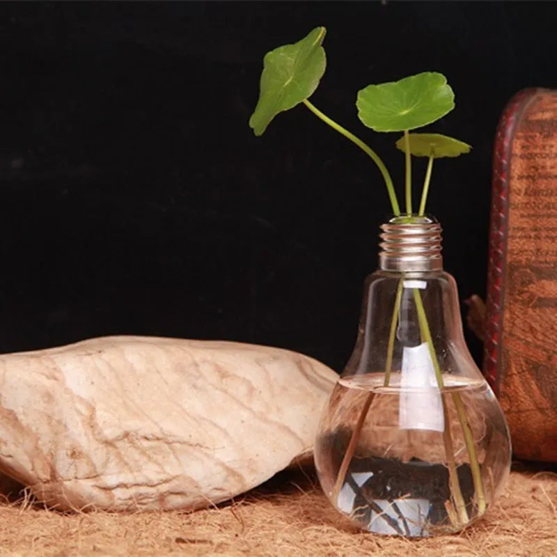 Vaso Hidropônico Decorativo em Formato de Lâmpada - Cultivo Moderno e Elegante - Decora Byte