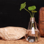 Vaso Hidropônico Decorativo em Formato de Lâmpada - Cultivo Moderno e Elegante - Decora Byte