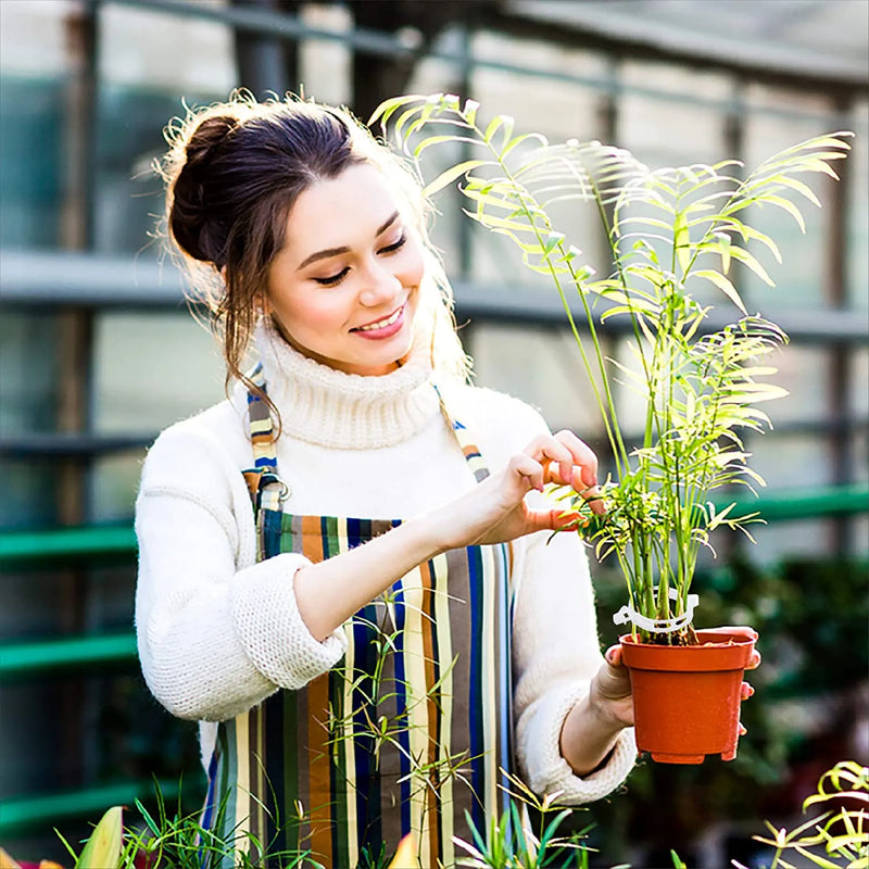 Clips de Suporte de Plástico para Prender Plantas - Crescimento Seguro e Saudável - Decora Byte