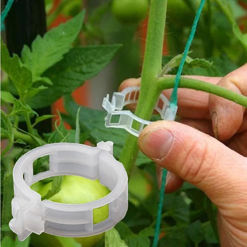 Clips de Suporte de Plástico para Prender Plantas - Crescimento Seguro e Saudável - Decora Byte