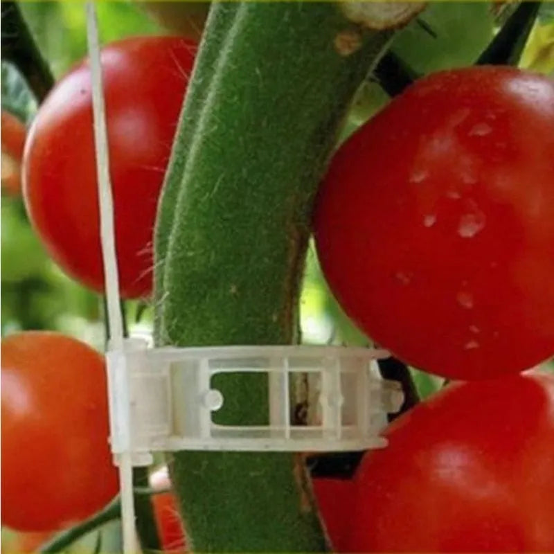 Clips de Suporte de Plástico para Prender Plantas - Crescimento Seguro e Saudável - Decora Byte
