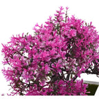 Bonsai Decorativo com Vaso Branco – 25cm | Toque de Paz para Seu Ambiente