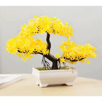 Bonsai Decorativo com Vaso Branco – 25cm | Toque de Paz para Seu Ambiente